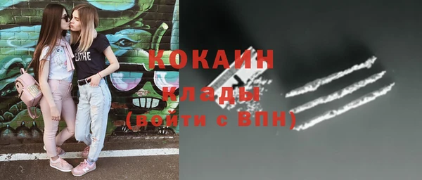 индика Алексин