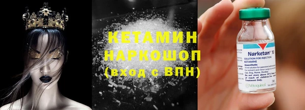 индика Алексин