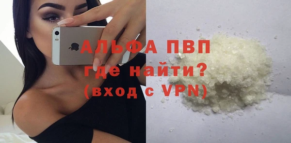 apvp Алзамай