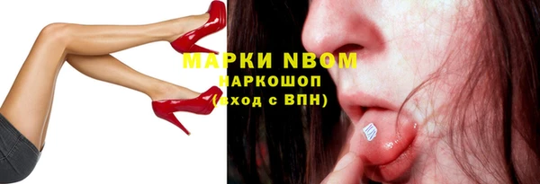 индика Алексин