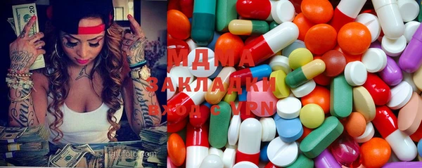 индика Алексин