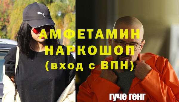 индика Алексин