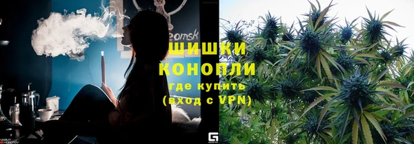 apvp Алзамай